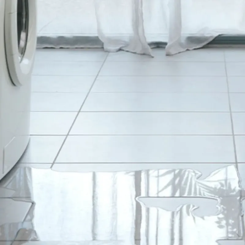 Appliance Leak Cleanup in Monee, IL