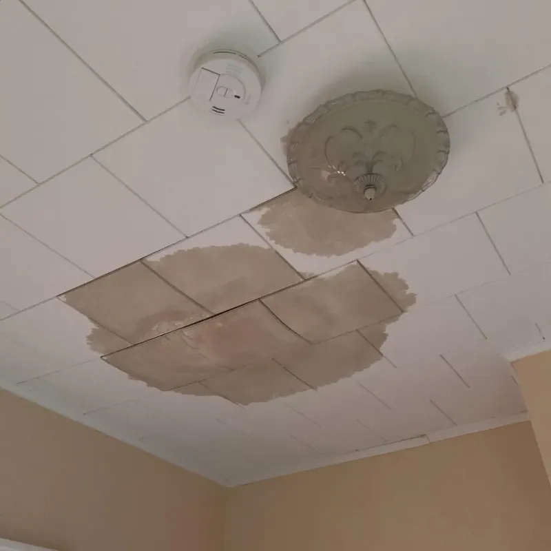 Ceiling Water Damage Repair in Monee, IL