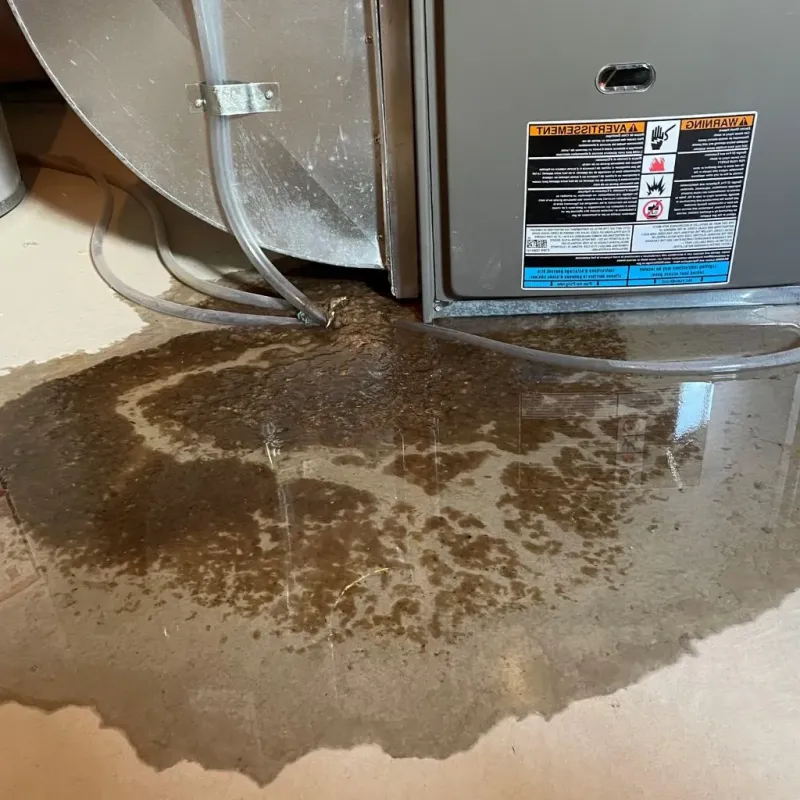 Pipe Burst and Leak Restoration in Monee, IL