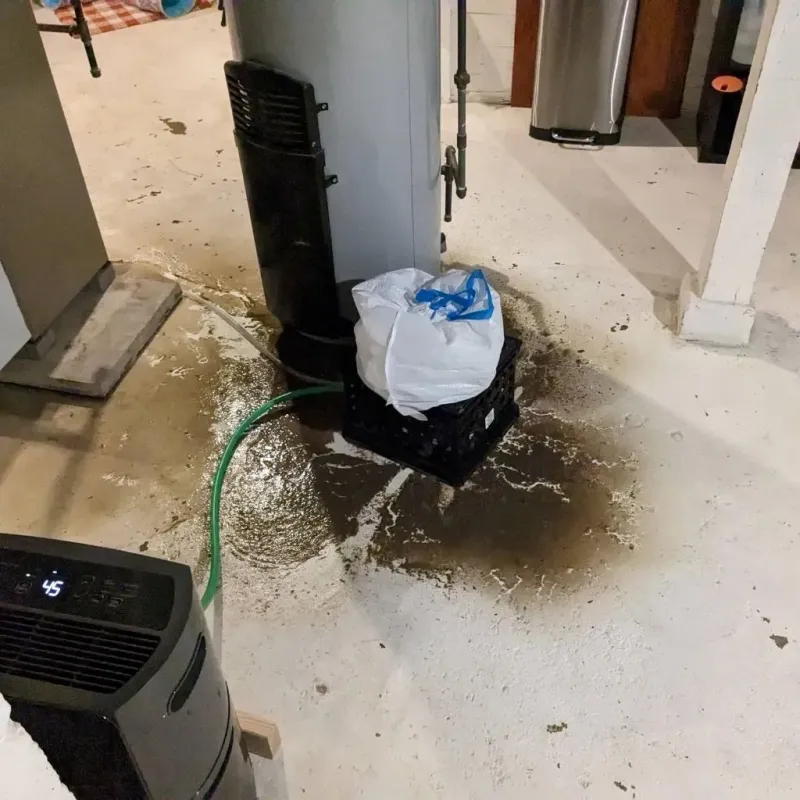 Sewage Backup Cleanup Service in Monee, IL